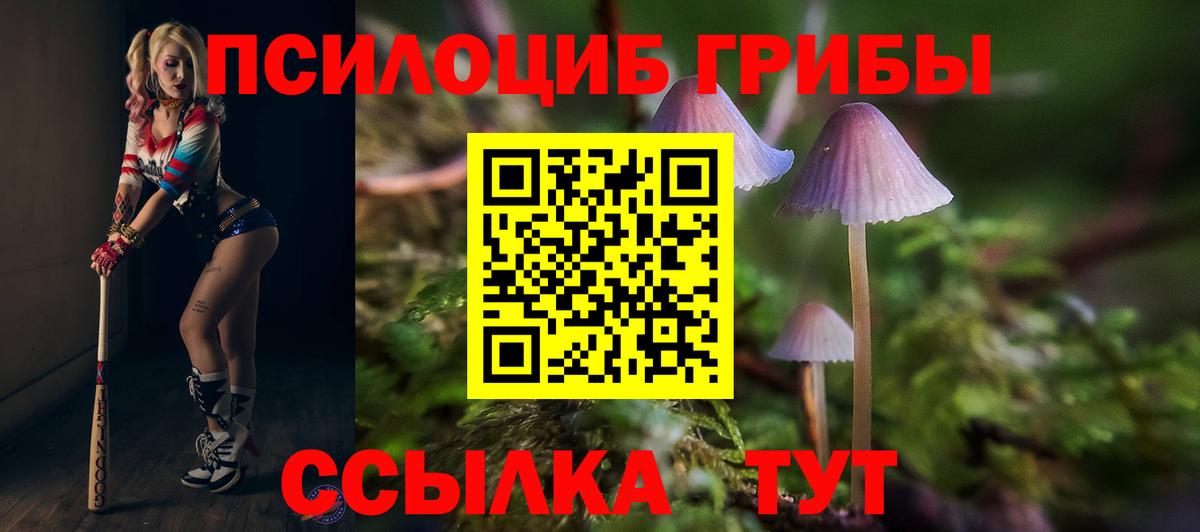 Сочи  Псилоцибиновые грибы прущие грибы  Вход с VPN  Галлюциногенные грибы мухоморы 